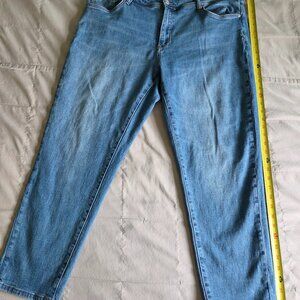 Anthropologie Pilcro Slim Boyfriend Jeans Plus 20W